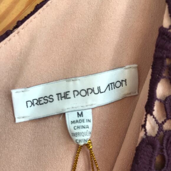 Dress the Population Aurora Lace Midi Dress - Picture 7 of 9